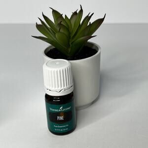 Young Living Essential Oil Pine 5 ml